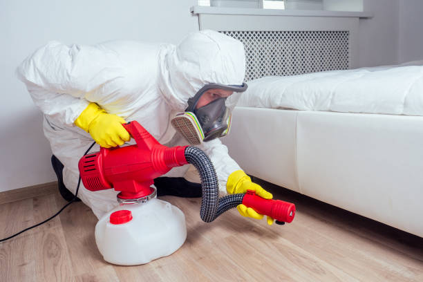 Best Emergency Pest Control  in Oak Park Heights, MN