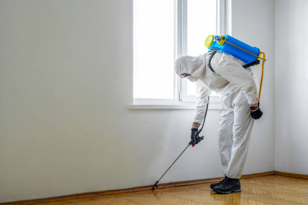 Best Affordable Pest Control Services  in Oak Park Heights, MN