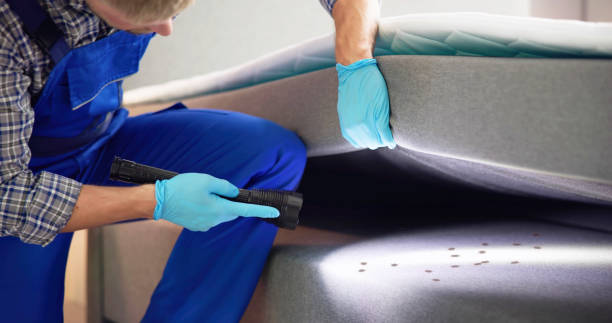Reliable Oak Park Heights, MN Pest Control Solutions