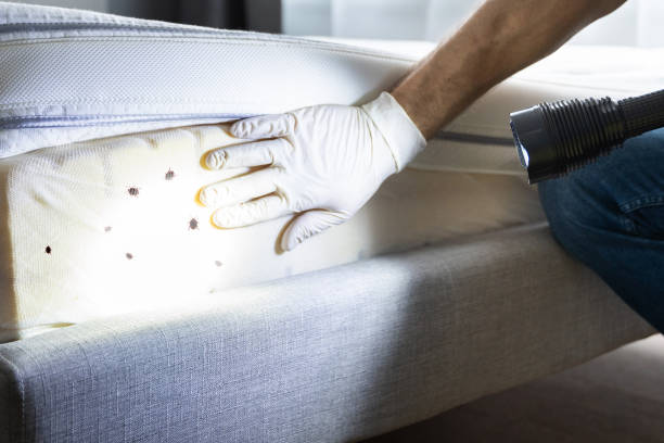 Best Residential Pest Control  in Oak Park Heights, MN