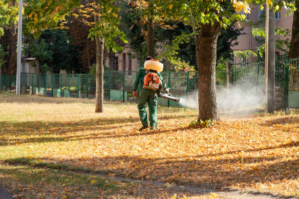 Best Emergency Pest Control  in Oak Park Heights, MN