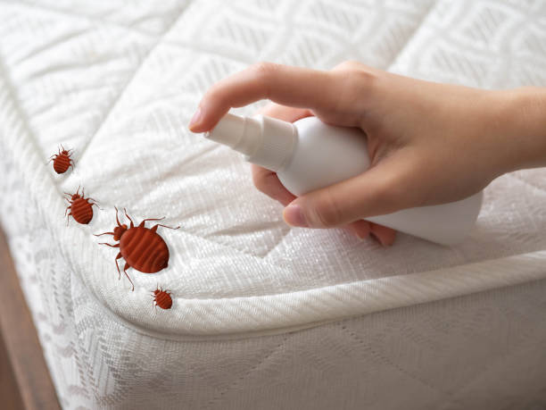 Best Exterminator Services  in Oak Park Heights, MN