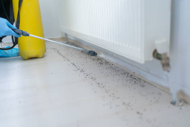 Best Residential Pest Control  in Oak Park Heights, MN