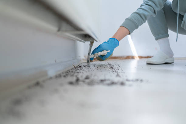 Best Wildlife Control Services  in Oak Park Heights, MN