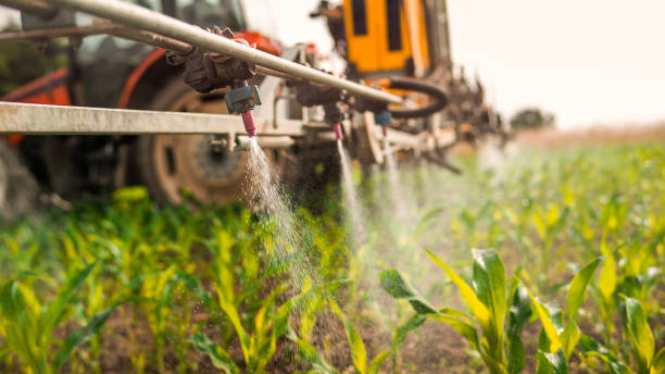 Best Mosquito Control Services  in Oak Park Heights, MN