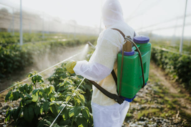Best Pest Control Near Me  in Oak Park Heights, MN